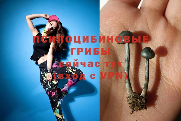 mdma Заволжск