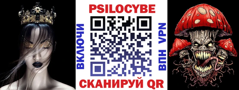 Псилоцибиновые грибы Cubensis  сколько стоит  mega зеркало  Барыш 